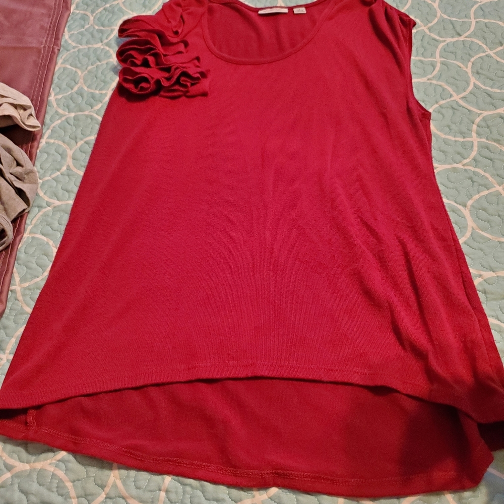 Ladies top